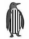 Arbitre-pingouin